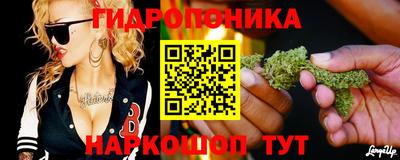 jwh Будённовск
